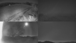 Sdružený snímek Bludný