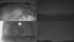 Sdružený snímek Bludný