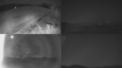 Sdružený snímek Bludný