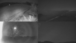 Sdružený snímek Bludný