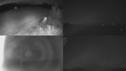 Sdružený snímek Bludný