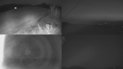 Sdružený snímek Bludný