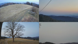 Sdružený snímek Bludný