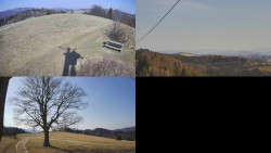 Sdružený snímek Bludný