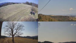 Sdružený snímek Bludný