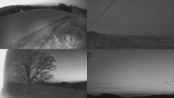 Sdružený snímek Bludný