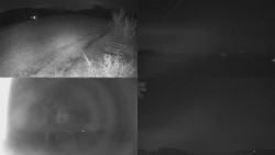 Sdružený snímek Bludný