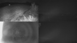 Sdružený snímek Bludný