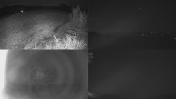 Sdružený snímek Bludný