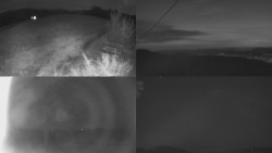 Sdružený snímek Bludný