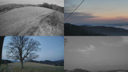 Sdružený snímek Bludný