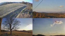 Sdružený snímek Bludný