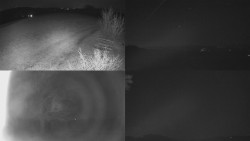 Sdružený snímek Bludný