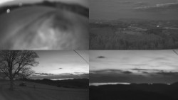 Sdružený snímek Bludný