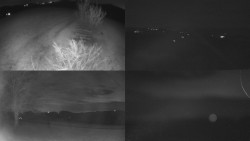 Sdružený snímek Bludný