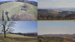 Sdružený snímek Bludný