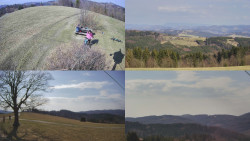 Sdružený snímek Bludný