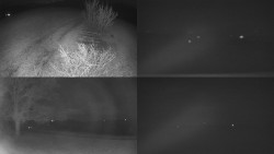 Sdružený snímek Bludný