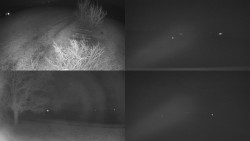 Sdružený snímek Bludný