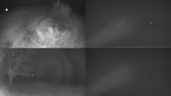 Sdružený snímek Bludný