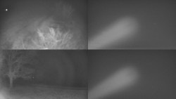 Sdružený snímek Bludný