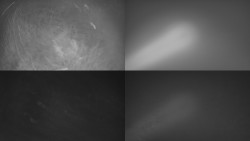 Sdružený snímek Bludný