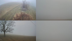 Sdružený snímek Bludný