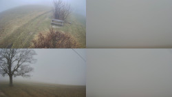 Sdružený snímek Bludný