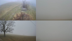 Sdružený snímek Bludný