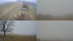 Sdružený snímek Bludný