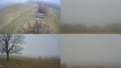 Sdružený snímek Bludný