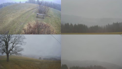 Sdružený snímek Bludný