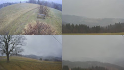 Sdružený snímek Bludný