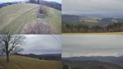 Sdružený snímek Bludný