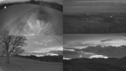 Sdružený snímek Bludný