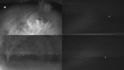 Sdružený snímek Bludný