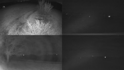 Sdružený snímek Bludný