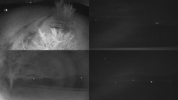 Sdružený snímek Bludný