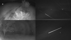 Sdružený snímek Bludný