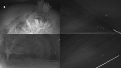 Sdružený snímek Bludný