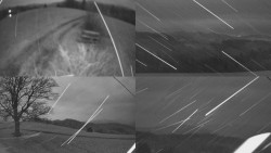 Sdružený snímek Bludný