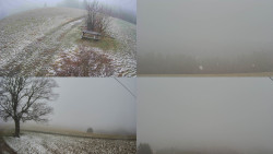 Sdružený snímek Bludný