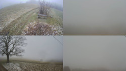 Sdružený snímek Bludný