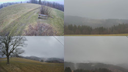 Sdružený snímek Bludný