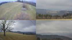 Sdružený snímek Bludný