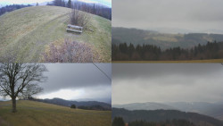 Sdružený snímek Bludný