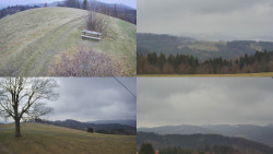 Sdružený snímek Bludný