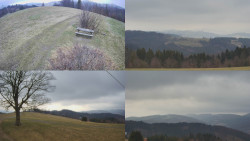 Sdružený snímek Bludný