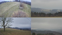 Sdružený snímek Bludný