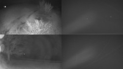 Sdružený snímek Bludný